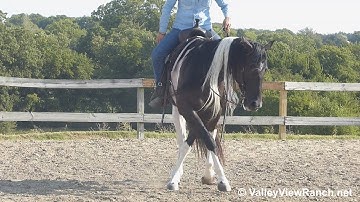 McCalls Choctaw - beautiful turns! - ValleyViewRanch.net