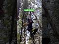 This Tree Rope Challenge Is Insane! 🌲💪 #shorts #adventureshorts #ropeclimbing