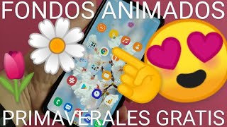 🌼🌺 Como PONER FONDOS de PANTALLA de PRIMAVERA ANIMADOS en ANDROID FÁCIL y RÁPIDO screenshot 5