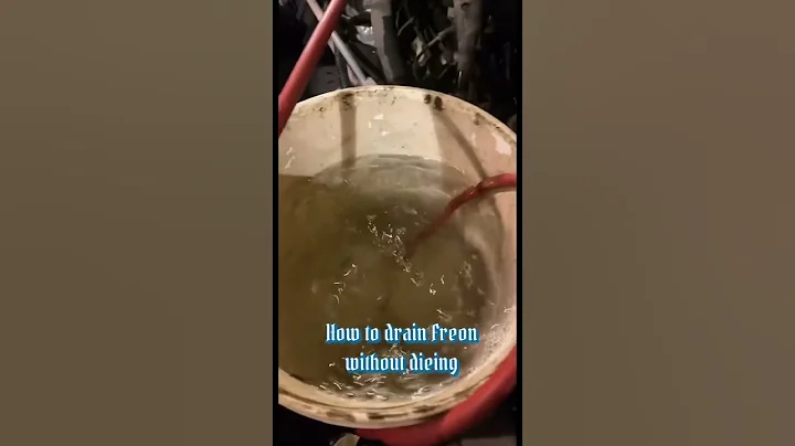 How to drain Freon without dying