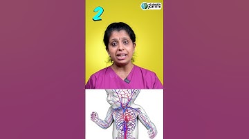 What happens if the baby is not in a proper position during a pregnancy scan?