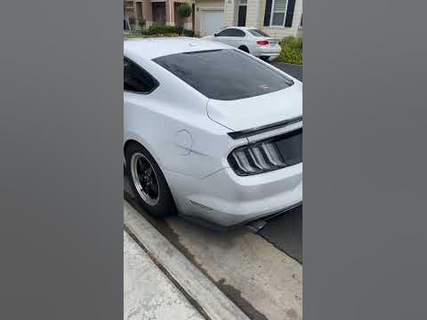 Cammed 5.0 🔥🔥 - YouTube