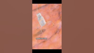 The World’s Smallest Robot!