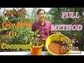 How to Make Cocopeat from Cocobrick and Use it.