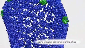 2014 LiveBIG: Computing a Virus (Illinois)