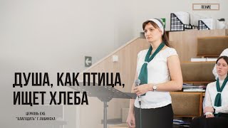 Душа, как птица, ищет хлеба. Пение соло.