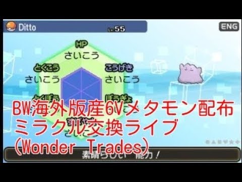 海外産 Bw乱数産6vメタモン配布 ポケモンusum ミラクル交換ライブ Youtube