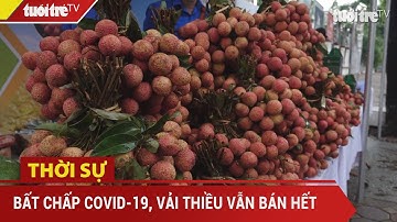 Dù dịch COVID-19, Bắc Giang vẫn bán hết 215.000 tấn vải thiều, thu hơn 6.800 tỉ đồng | Tuổi Trẻ TV