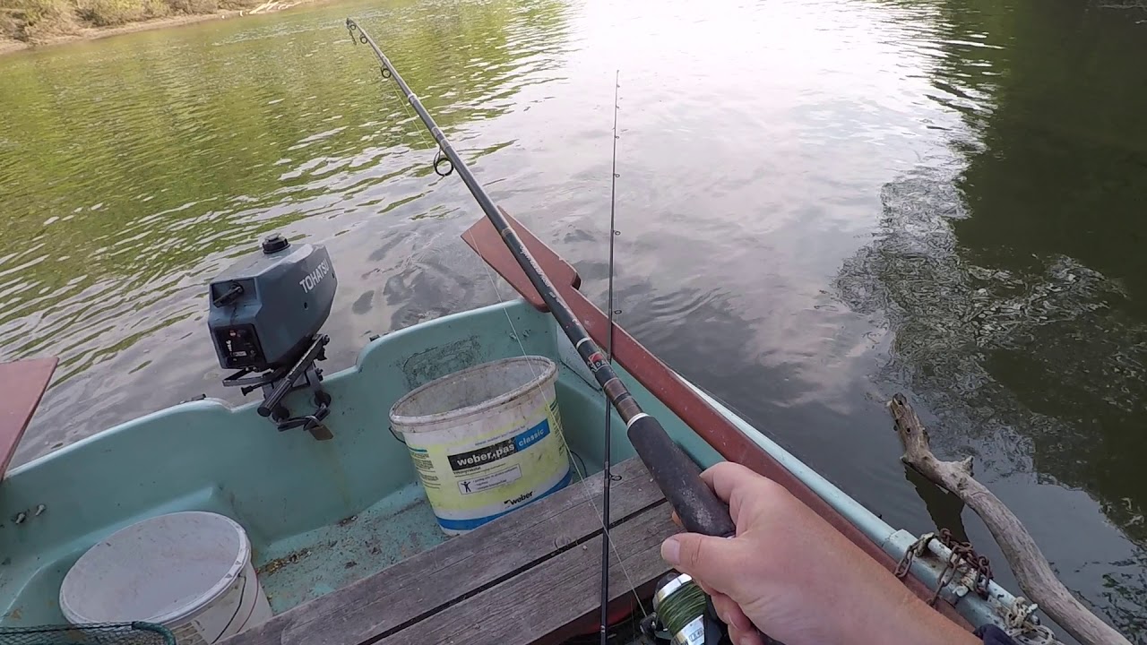 BIG CARP...PESCA DELLA CARPA..BEST CARP FISHING...KARPFEN ANGELN video...FHD