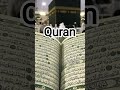 Quran Urdu translation #holybook #shorts #qurantranslation #quranrecitation #quran #viral