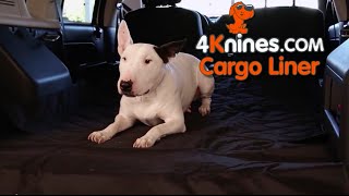SUV And Truck Dog Cargo Liner