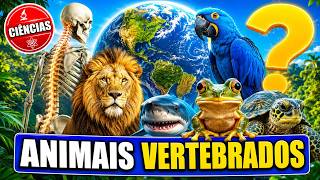 Vertebrate Animals: Mammals, Birds, Fish, Amphibians, and Reptiles | Science for Kids