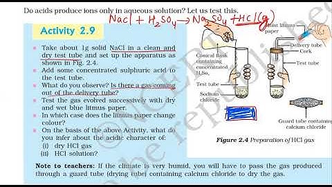 Activity 2.9 Class X  Science Ch 2 Acid bases and Salts CBSE Ncert