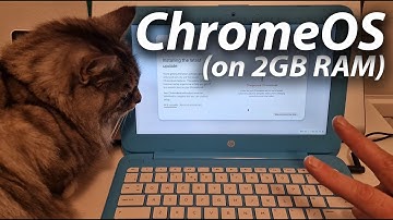 ChromeOS Flex on 2GB HP Stream 11... is it any good?