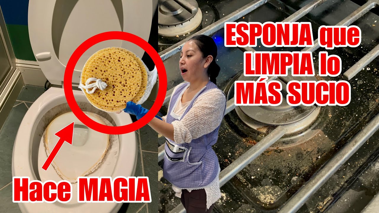 El truco para lavar correctamente las esponjas de baño: evita las bacterias  y hongos – Enséñame de Ciencia