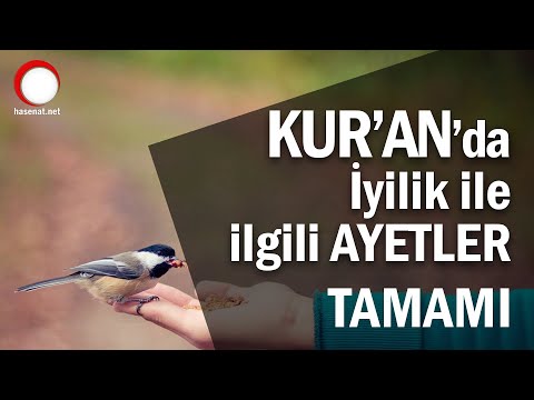 Kur’an da iyilik ile ilgili ayetler...Tamamı