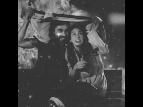 اجمل اغنية كردية هوزان حميد 