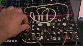 Still finding quirks with Strega after 2 years of patching