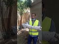 سحر مكفن بالموت بمكنسه من القش 