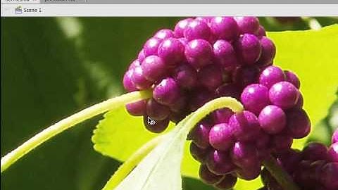 ActionScript 3 - A Better Preloader