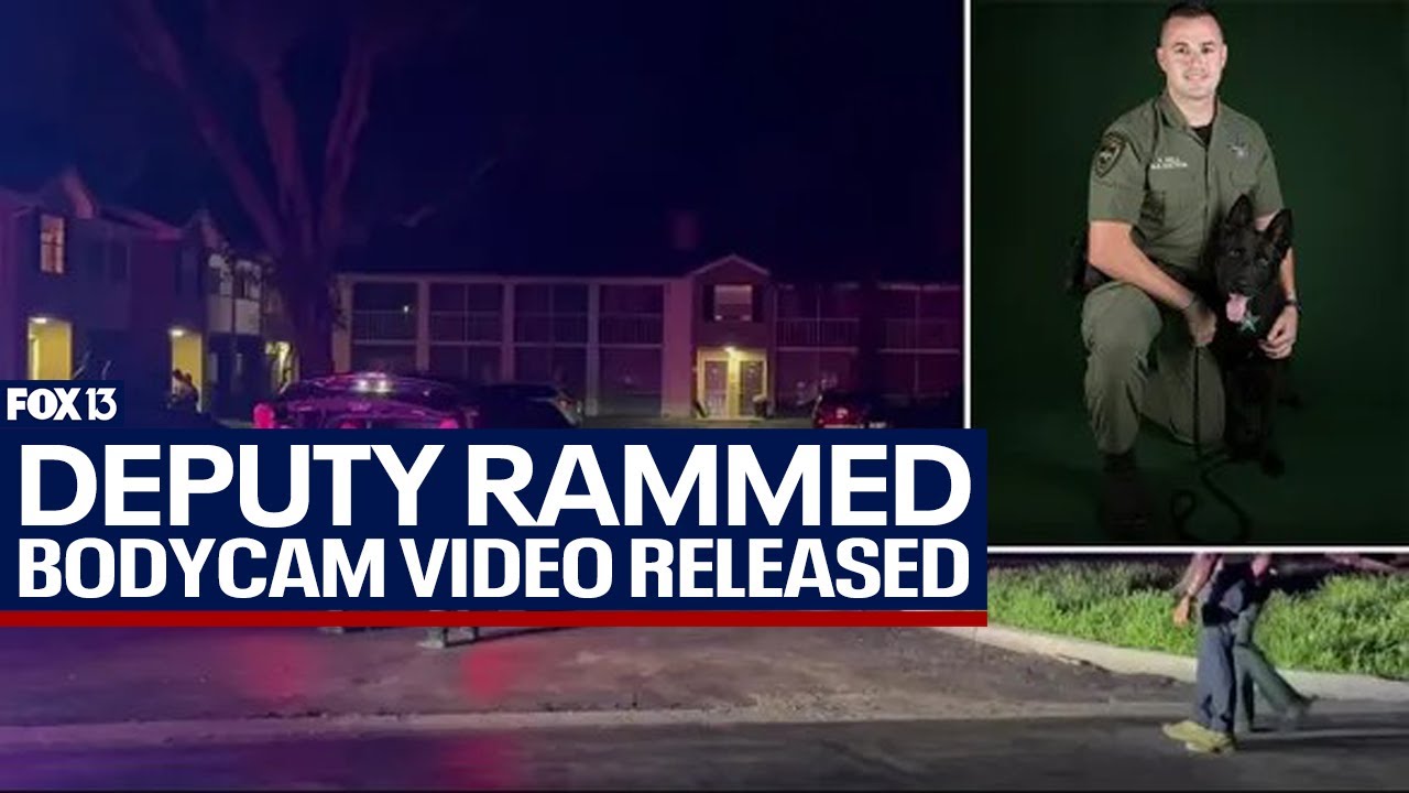 Hillsborough County deputy recovering after hit-and-run - YouTube