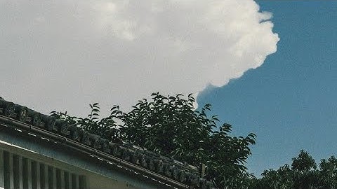 آيات من سورة الرحمن ، بصوت القارئ عمير شميم 🌿🤍 .