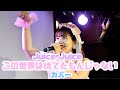 『みんなへのお手紙&amp;サプライズ』Juice=Juice『この世界は捨てたもんじゃない』カバー