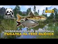 Трофейный Пескарь и Перловица. Рыбалка на реке Вьюнок - Русская Рыбалка 4 #223