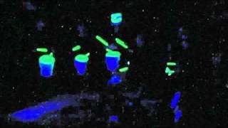 big bang 2004
