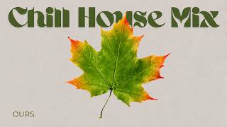 Chill House for Steady Focus | A Season in Transition