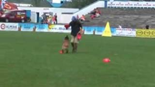 Putee Deabei - Dogfrisbee