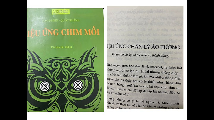 Hiệu ứng chim mồi review