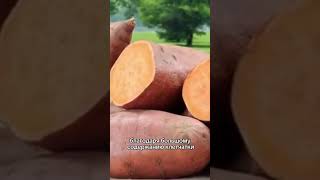 Фасоль, батат и ягоды лучшие продукты для детоксикации организма #психология #психология