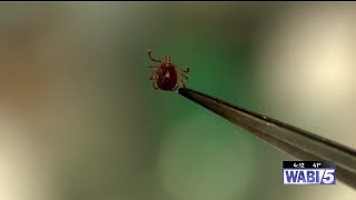 Healthy Living with Northern Light Health: Environmental effects on Lyme Disease
