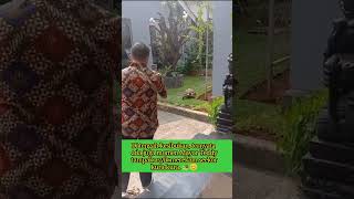 Mayor Teddy Asyik Rekam Kura-Kura 🐢 #Shorts #mayorteddy #letkolteddy #seskabteddy #tni #fyp