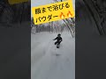 パウダーラン スノーボード 今年は雪が多くてツリーランが楽しい ドパウ #japow