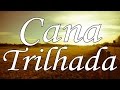 CANA TRILHADA - Hino Avulso - Letra - Janaina Kelly