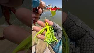 Tips setting Up a Buzzbait with a Log Father#fishing#viralvideo#shortvideo#youtubeshorts#shorts#tips