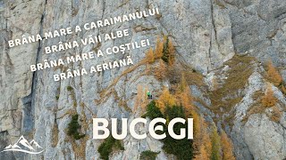 NEMARCATE în Bucegi - circuitul brânelor | Caraimanului - Văii Albe - Coștilei - Aeriană