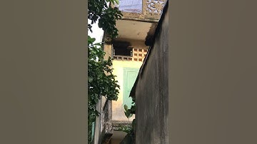 Just to change sound for bird nest in my house