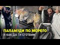 Морето завря от паламуди!... / Как да ги сготвим най-вкусно? - 1 част