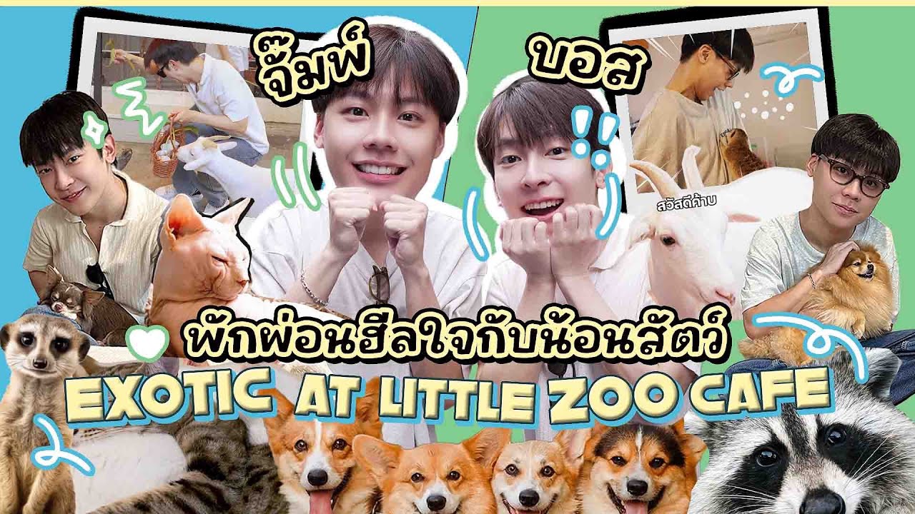 VLOG l จั๊มพ์ บอส พักผ่อนฮีลใจกับน้อนสัตว์  AT EXOTIC ZOO CAFE  🪿🐶✨ [ENG SUB]