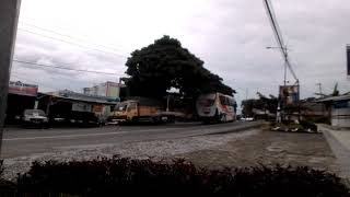 Detik2 Bus Jatra Ngeblong Keren