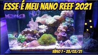 ESSE É MEU NANO REEF 2021 - Video nº7 - 23/02/21 screenshot 5