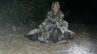 Wild Boar hunting at night…..HOGZILLA.