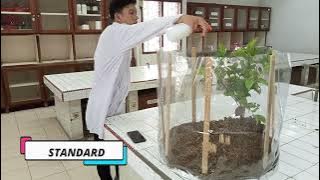 Science Project Video Finalist Chemistry  9  Steven Firnandi Hutapea IWSC 2022