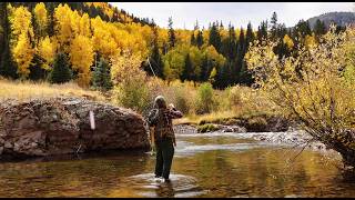 Chasing Brown Trout & Fall Colors | Colorado Fly Fishing