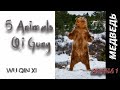 ЦИГУН 5 ЗВЕРЕЙ   ИГРА МЕДВЕДЯ Qigong wu qin xi   bear form