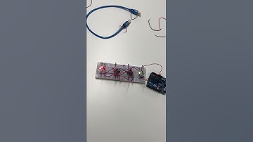 Johnson Ring Counter Video