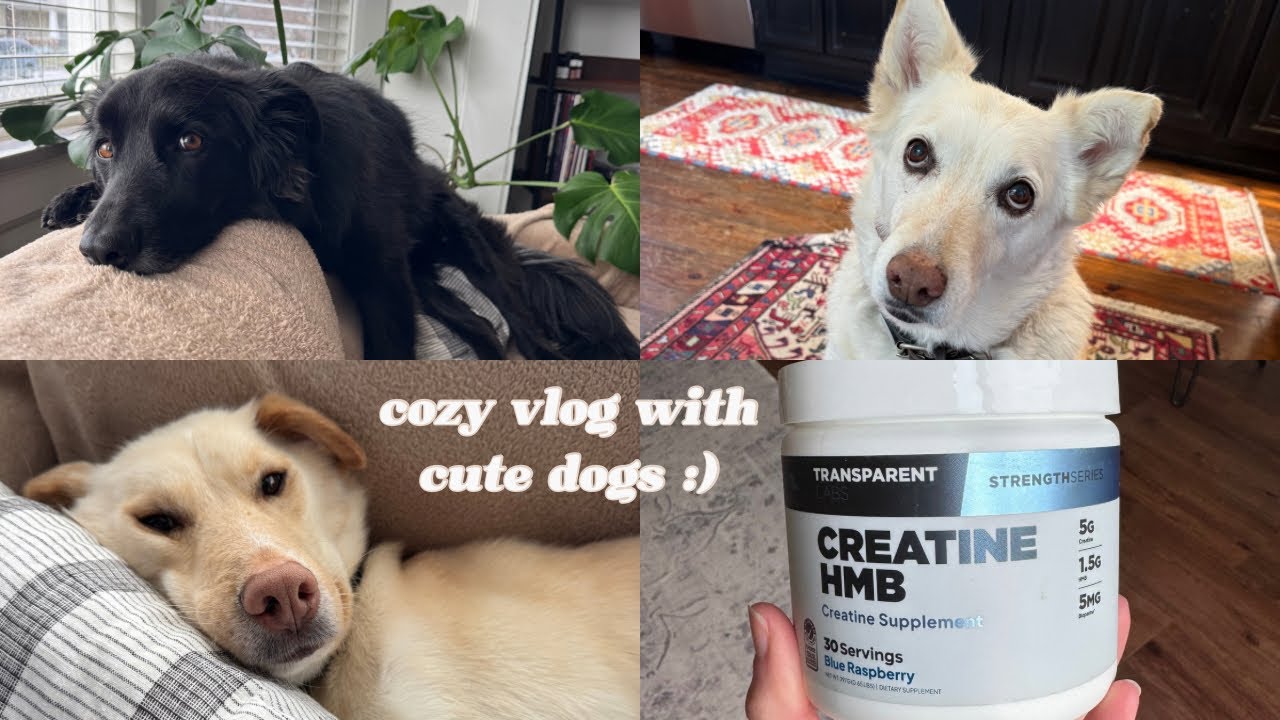 Starting Creatine and Dog Sitting | Weekend Vlog